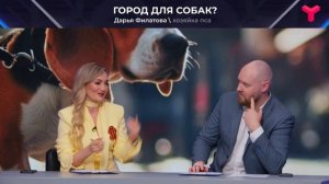 Собака есть, а инфраструктуры нет