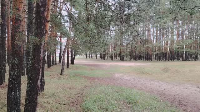 Во всем виновата лень молодого поколения?