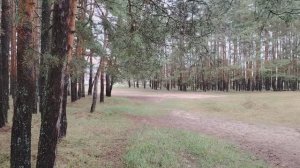 Во всем виновата лень молодого поколения?