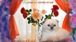 ДРУЗЬЯ МОИ !!! С ДОБРЫМ УТРОМ И ХОРОШИМ ДНЕМ.