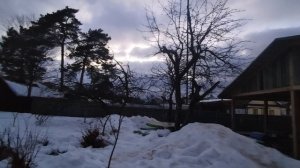 Корюшку копчу на заднем дворе у нас дома.