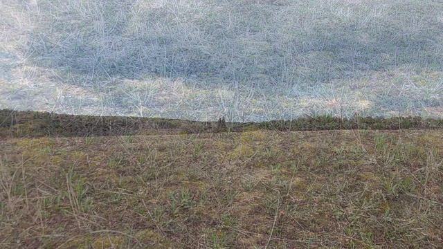 Небольшая коп прогулка с металлоискателем 2026