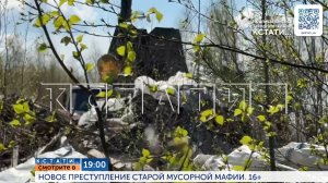 Смотрите сегодня в 19.00 в программе «Кстати»: Новое преступление старой «мусорной мафии»