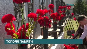 Аллея памяти. В Иркутске почтили память тех, кто уходил на войну прямо с выпускного в 1941 году