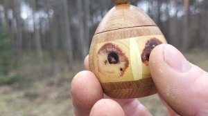 Шкатулка в майском лесу на сосне