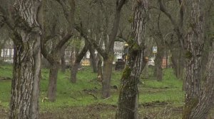 Этапы большого пути 06,05,26 автор  Фатима Сагова