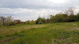 Чекушку себе купила 😆😆😆Высадила метровые помидоры в грунт! 🌱Вечерняя прогулка! Юг России🌴.