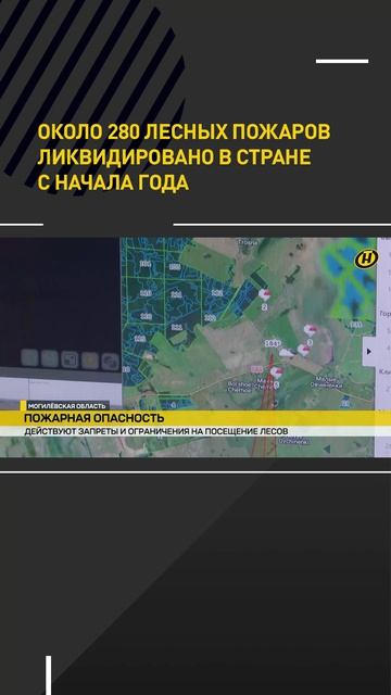 Около 280 лесных пожаров ликвидировано в стране с начала года