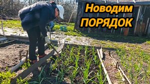 НАВОДИМ ПОРЯДОК НА УЧАСТКЕ 🌱🍃🍂 МОЯ РАССАДА УЖЕ ЦВЕТЁТ 😲