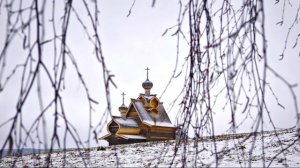 Л. Мартынов. След