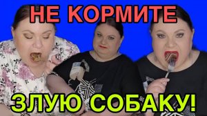 НЕ КОРМИТЕ ЗЛУЮ СОБАКУ! ДЕВУШКА С УРАЛА. ОБЗОР.