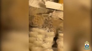 В Нижегородской области транспортные полицейские выявили нарколабораторию и изъяли 38 кг альфа-PVP