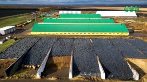 С начала года в Башкирии получили более 260 тыс. тонн молока