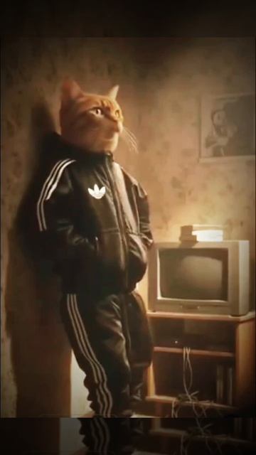 VladLaws Music 