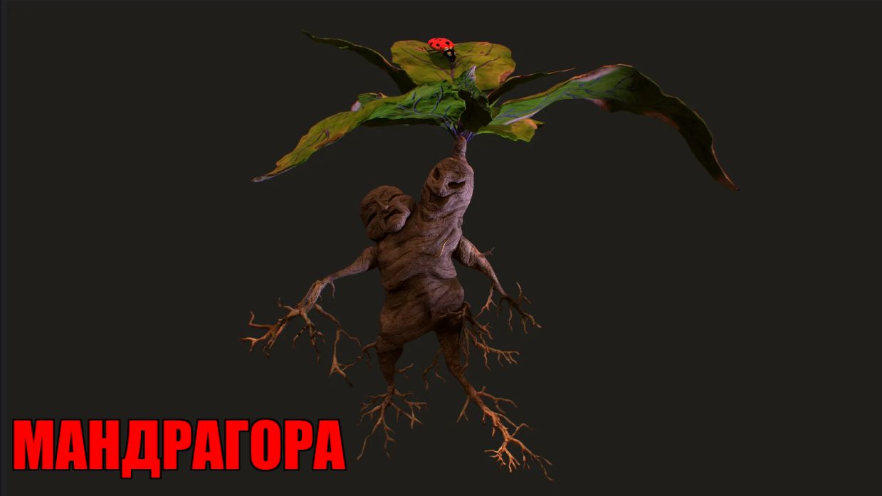 РАСКЛАД НА КАРТАХ ТАРО. ПРЕДУПРЕЖДЕНИЕ!