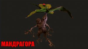 РАСКЛАД НА КАРТАХ ТАРО. ПРЕДУПРЕЖДЕНИЕ!