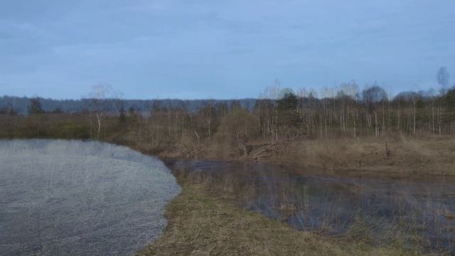 Коротенько о весне, тишине, природе и чудесах погоды...