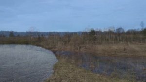 Коротенько о весне, тишине, природе и чудесах погоды...
