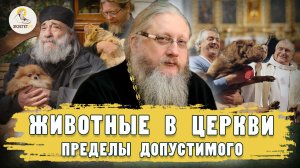 ЖИВОТНЫЕ В ЦЕРКВИ: пределы допустимого. Христианский взгляд.  Иеромонах Нектарий (Соколов)