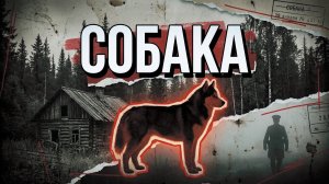 СОБАКА  [АУДИОКНИГА / ДЕТЕКТИВ]