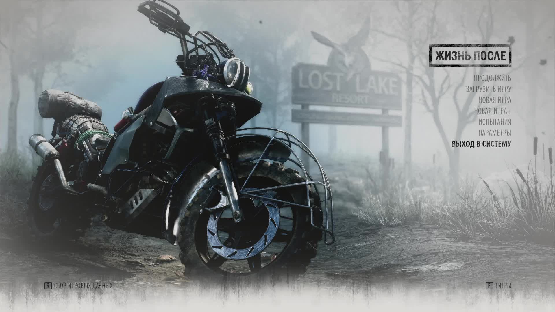 Days Gone #6