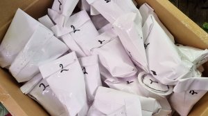 Новинки, 47 сортов пеперомий