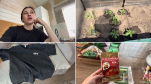 Всего понемногу.  Посадки/ покупки на лето/ рыбный ужин