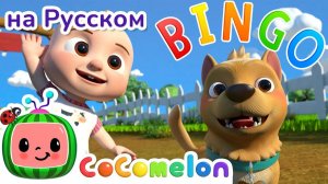 Собака Бинго на Ферме🐕 # CoComelon на русском — Детские песенки