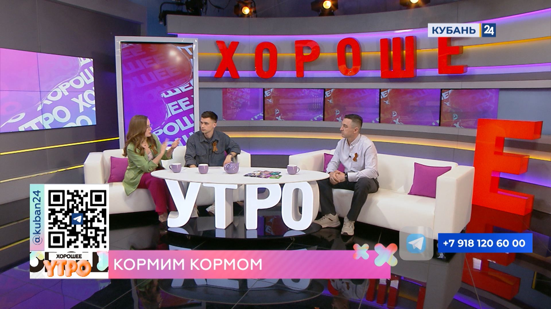Виталий Лопаткин: котов можно кормить влажным кормом не чаще двух раз в неделю