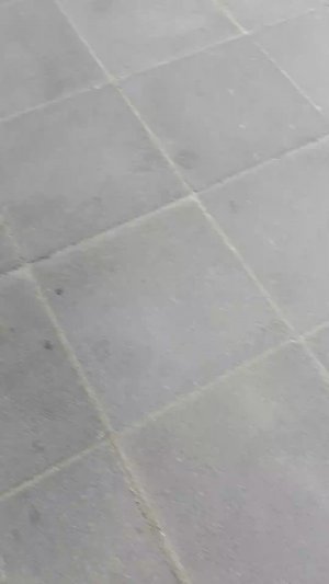 количество