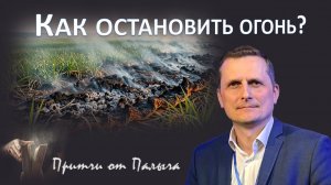 Огонь и трава: старая и новая.