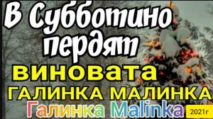 Колесниковы _В Субботино Пердят, а виновата Галинка Malinka _Обзор Влогов _Ответ  их ХОМЯКАМ_