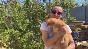 Кота Барона, ранее взятого в «плен», вернули хозяйке