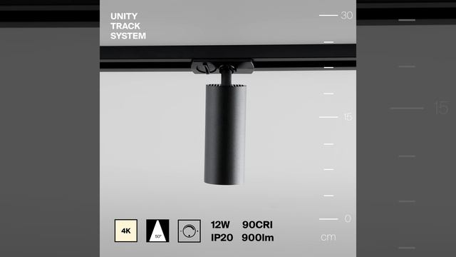 Светильник Maytoni Unity Focus LED TR021-1-12B4K-W-D-B смотреть онлайн