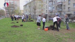 Во дворе 49 школы в Новоуральске появилась Аллея Славы
