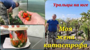 С ней не соскучишься.Что ни день, то праздник!
