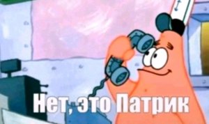 пёс