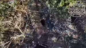 💥Уничтожение живой силы противника в Харьковской области