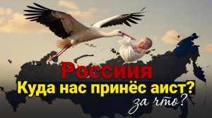 Россия: куда нас принёс аист и за что?