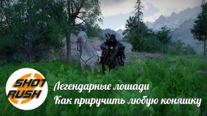 Crimson Desert: Легендарные Лошадки и Как приручать любых лошадей