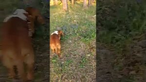 гуляем на тропе здоровья