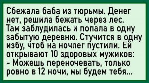 Зечка просится переночевать...  #анекдоты #прикол #ржака