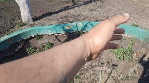 ответ советникам, всех слушать останешься без ничего.