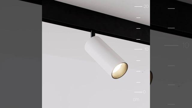 Светильник Maytoni Exility Focus LED TR032-2-12W4K-M-BW смотреть онлайн