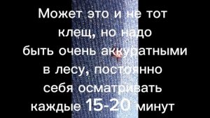 3.05.26/шашлык и любимые книги