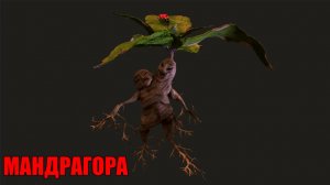 РИТУАЛ ЧИСТКА ДЕНЕЖНОГО КАНАЛА!