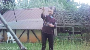 Запуск БезМоторно-Кордовой АвиаМодели во дворе. Май 2026.