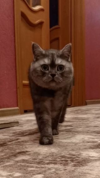 Когда идёшь проверять холодильник