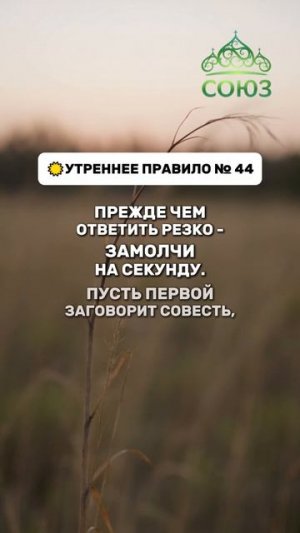 Утреннее правило №44