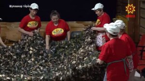 «Механик» тата «Апаш» хушма ятсемпе çÿрекен салтаксем отпуска  вĕçлесе ятарлă çар операцийĕ пыракан